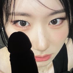 prev image