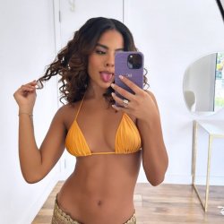 prev image