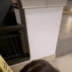 HotGirlfriend Cheats White Boyfriend In Public With Bbc #eR5Jwa2C