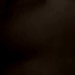 Lyrianis putita filtrada y expuesta PARTE- 2 #AreQX50M