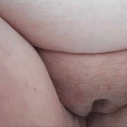 prev image
