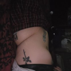 prev image