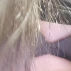 C4_Lauren Sexy Latina Live #IbakjpMv