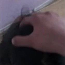 Petite asian sucks and gets cumshot #d9WKU90N