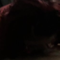 Snapchat: wife exposed cheating #h4w9qPPD