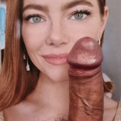 prev image