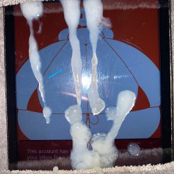 This is for Reddit as what they have done! What I think of Reddit lol! #oxLm1YJX