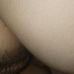 prev image