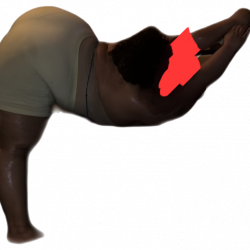 Thick Ebony #1SYg5yWI